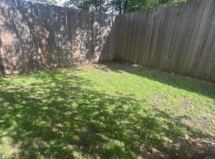 Leaf Removal by Noah Morrison for Colette T. in Austin, TX