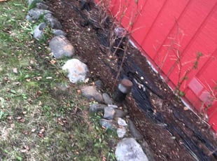 Weeding by Thomas Emblom for Denise M. in Anchorage, AK