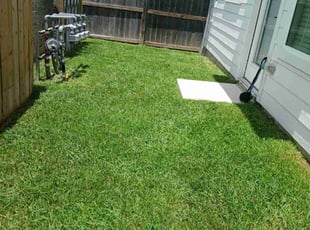 Lenora R.'s Lawn Care service result
