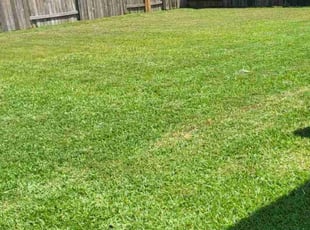 Sherry M.'s Yard Cutting service result