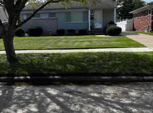 Jennifer E.'s Lawn Mowing service result