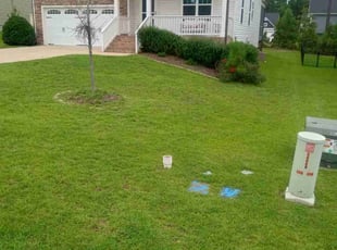 Natasha S.'s Lawn Care service result