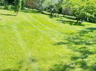 Melvin E A.'s Lawn Service service result