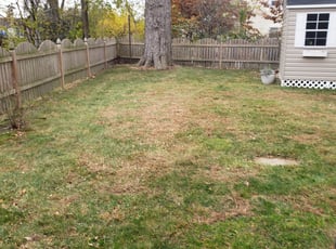 Leaf Removal by Jamil Hafeeza for Amy K. in Voorhees Township, NJ