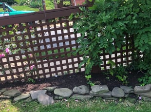 Mulching by Jose M Rodriguez for Bill K. in Arlington, VA