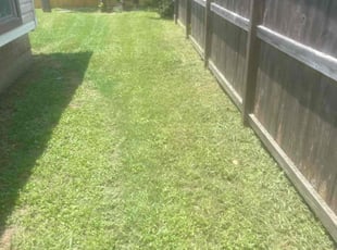 Cleanups by Sharonda Sanford for Brendon R. in Richmond, TX