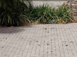 Weeding by Willie Carmichael for Brooke S. in Apopka, FL