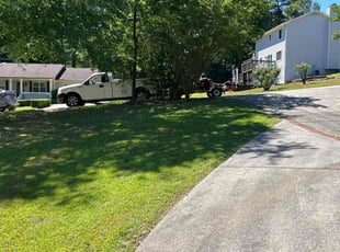 Alisa P.'s Lawn Mowing service result