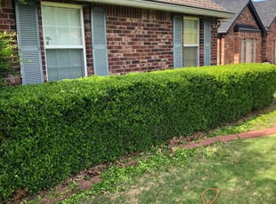 Bush Trimming by Paul Handley for Miriam B. in Broken Arrow, OK