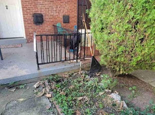 Bush Trimming by Curtis Holloway for Brent B. in Baltimore, MD