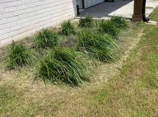 Cleanups by Adolfo Gonzalez Castaneda for Elle J. in Hutchins, TX