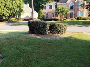 Bush Trimming by Scaroline LLC for Shameka R. in Alpharetta, GA