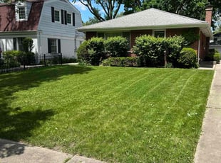 Dora M.'s Lawn Care service result