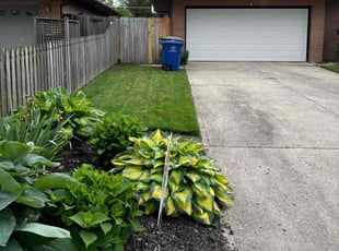 Weeding by Jesus Rincon for Samantha W. in Columbus, OH