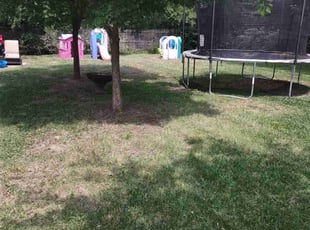 Cleanups by Emma Perales for Sherri K. in Fort Worth, TX