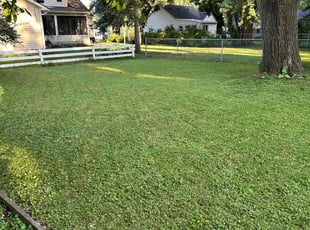 Maraloy T.'s Yard Cutting service result