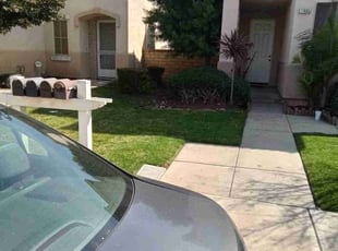 Chandel G.'s Lawn Mowing service result