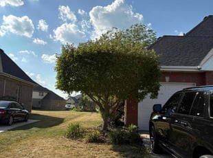 Bush Trimming by Maurice Williams for Tomeka H. in Frankfort, IL