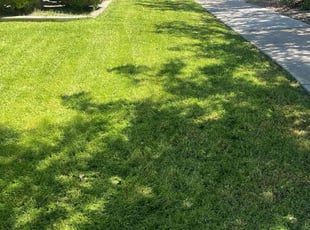 James Z.'s Lawn Care service result