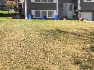Leaf Removal by Charles Janousek for Megan K. in Omaha, NE