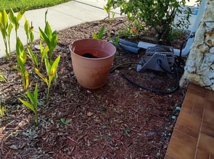 Weeding by Rob Frees for Brenda H. in Port Orange, FL