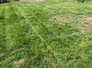 Cleanups by Lucas Hunt for Deja M. in Colorado Springs, CO
