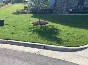 Ellie C.'s Lawn Maintenance service result
