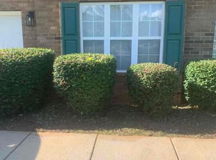 Bush Trimming by Carmie Chisolm for Rodney H. in McDonough, GA