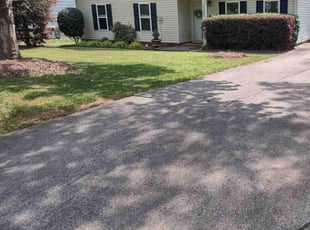 Cleanups by Michael Cherry for Summer S. in Mint Hill, NC