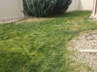 Cleanups by Samuel Buchanan for Dallas G. in Johnstown, CO