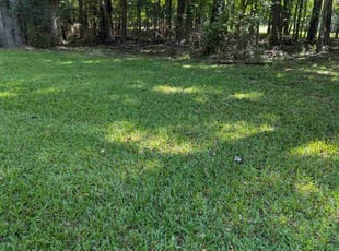 Lenin M.'s Lawn Service service result