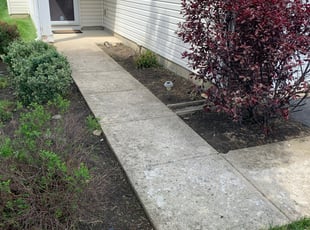 Weeding by B.J. Schuetz for sharla a. in Columbus, OH