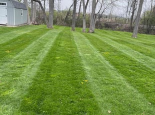 KATHY Z.'s Lawn Service service result