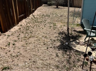 Leaf Removal by Brennen Spratte for Michael P. in Colorado Springs, CO