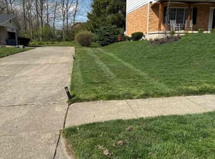Gabriella B.'s Lawn Mowing service result