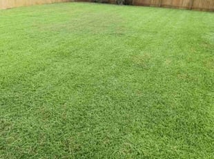 Lionel B.'s Lawn Mowing Service service result