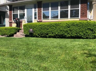 Nina C.'s Yard Cutting service result