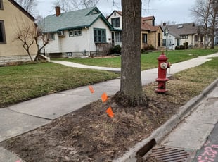 Leaf Removal by David Gallaway for Krista V. in Minneapolis, MN