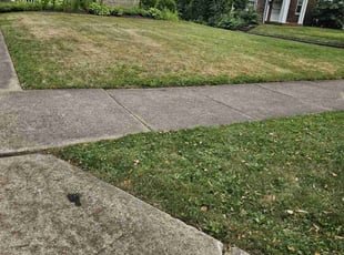 Weeding by Thomas Abney for Tristan H. in Akron, OH