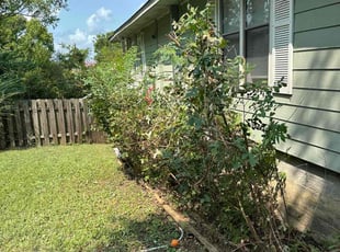 Cleanups by Tyler Bancroft for Amber J. in Willis, TX