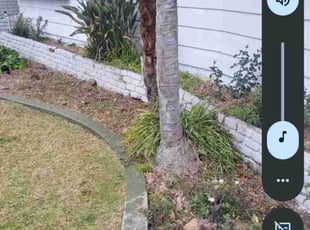 Weeding by Louie Priest for Ben H. in Bakersfield, CA