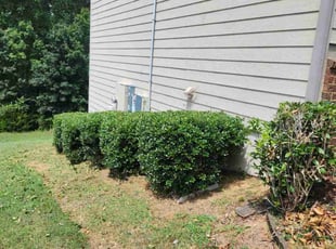 Bush Trimming by Errick Perrin for Vladymyr G. in Monroe, GA