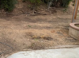 Cleanups by Nommie Miner for Susie C. in Moreno Valley, CA