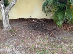 Leaf Removal by Jairo Ibero for Miranda T. in Clermont, FL