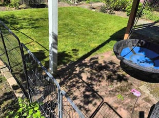 Ashlei B.'s Lawn Service service result