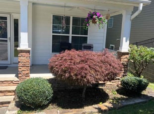 Bush Trimming by Erick G for jean g. in Cary, NC