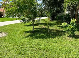 Thomas D.'s Lawn Care service result
