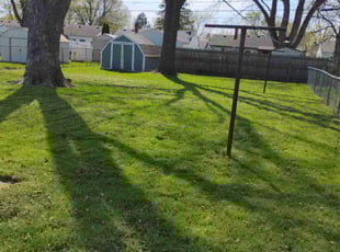 Lanita M.'s Lawn Mowing service result