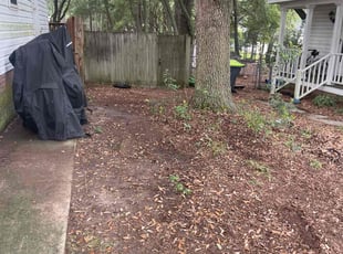 Leaf Removal by James Sanders for Paige G. in West Columbia, SC