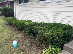 Bush Trimming by Anderson Armstrong for Nicole T. in Gary, IN